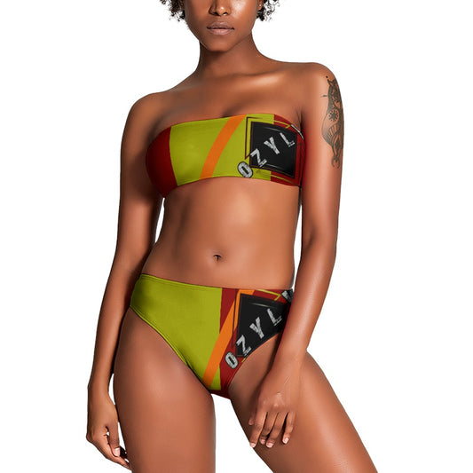 Ladies Two Piece Bikini Swimsuit