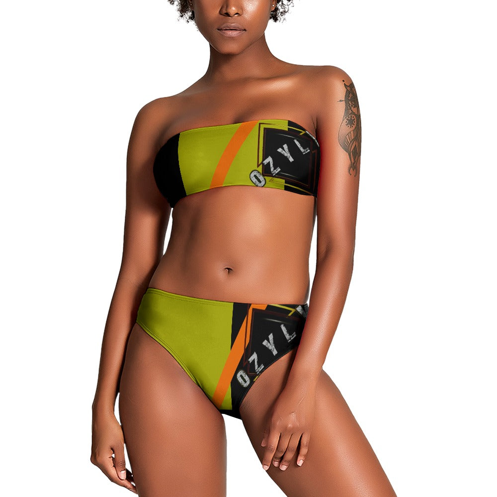Ladies Two Piece Bikini Swimsuit