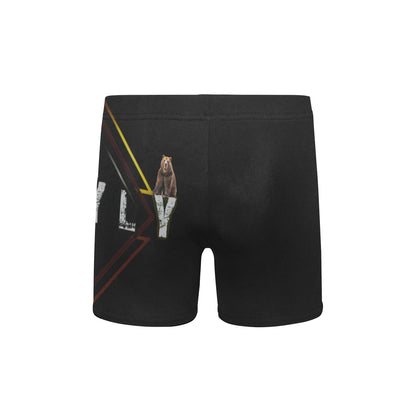 Big Boys' Swimming Trunks